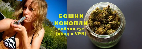 первитин Дмитриев