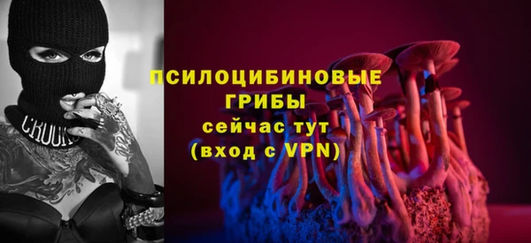 первитин Дмитриев