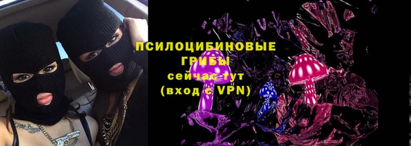 соль курить ск Ельня