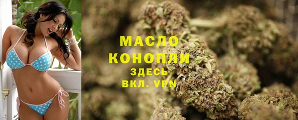 первитин Дмитриев