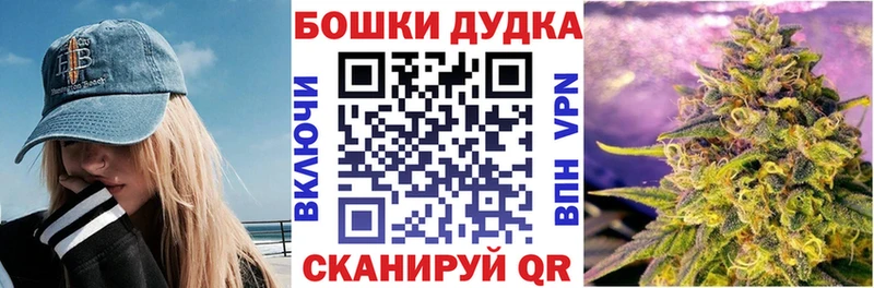 Каннабис сатива Купить закладки Сясьстрой